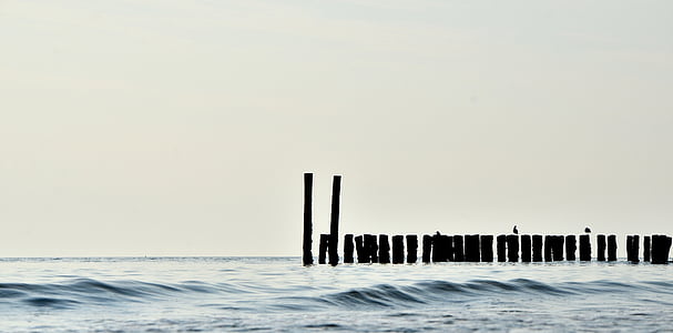 silhouette of inline poles on body of water under white sky at daytime thumbnail