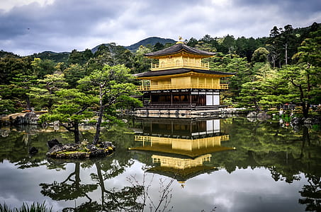 Pagoda surrounded by body of water near trees during daytime thumbnail