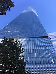 low angle photo of glass building thumbnail