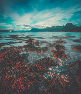 landscape photography body of water thumbnail