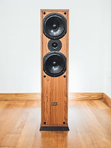 brown and black speaker on brown parquet floor thumbnail
