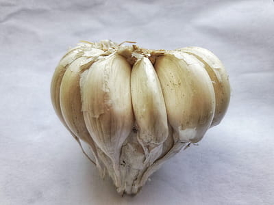 Garlic isolated on white background thumbnail