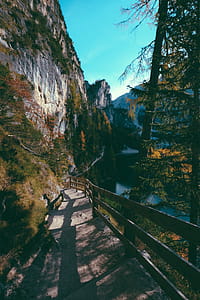 Photo Of Pathway Beside Cliff thumbnail