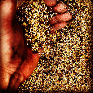 close-up photography of person holding assorted-color grains thumbnail
