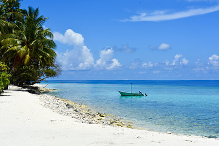 boat docked on the beach near coast with trees during daytime thumbnail