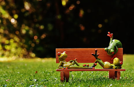 three frogs on bench chair thumbnail