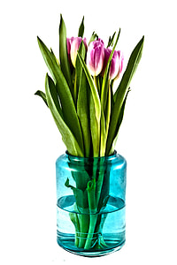 flowering plant on glass vase thumbnail