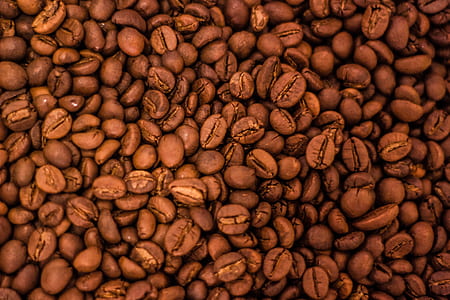 bunch of coffee beans thumbnail