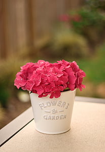 pink flowers on vase thumbnail