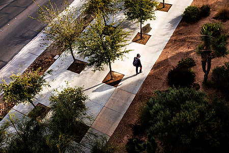 person walking along pathway thumbnail