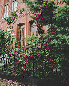 green and pink garden in front on brown commercial building thumbnail