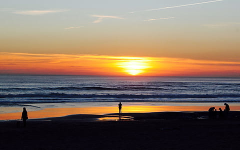 silhouette of people on the seashore thumbnail