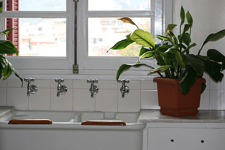 closed faucets near pot of plant thumbnail