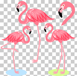 Flamingo Bird Illustration, Cartoon Flamingo, four pink flamingos illustration PNG clipart