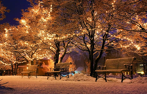 yellow string lights during night time thumbnail