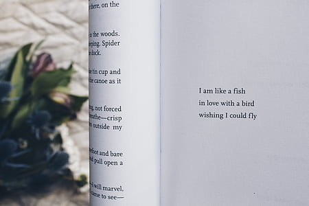 i am like a fish in love with a bird wishing i could fly text thumbnail
