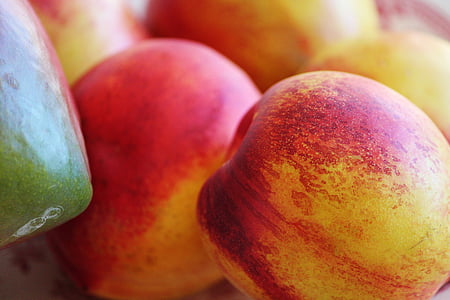 red and yellow apple close-up photography thumbnail