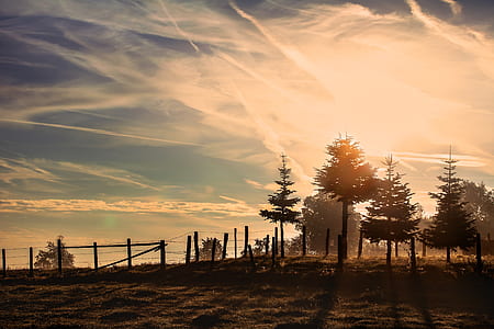 landscape photo of barbed wire fence with trees thumbnail