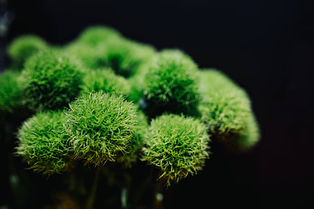 Collection of colourful flower bouquets thumbnail