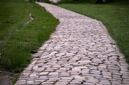 bricks pathway between green grass thumbnail