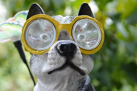 close up photo of dog with eyeglasses figurine thumbnail