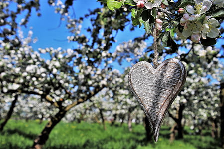 heart pendant hanging on tree thumbnail