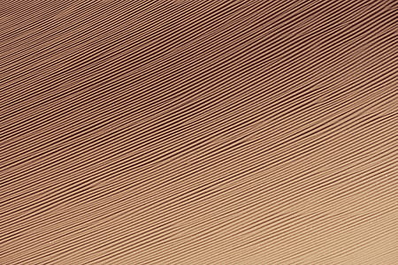 texture, field, sand, lines thumbnail