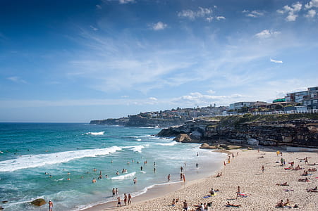 people swimming on beach thumbnail