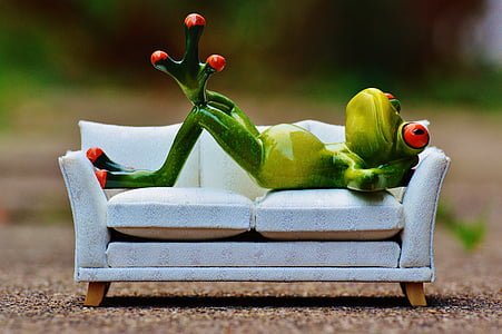 green frog on white sofa decor thumbnail
