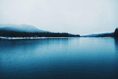 lake in a distance of trees thumbnail