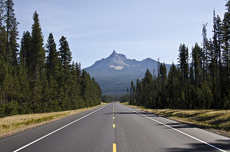 gray road between pine trees thumbnail