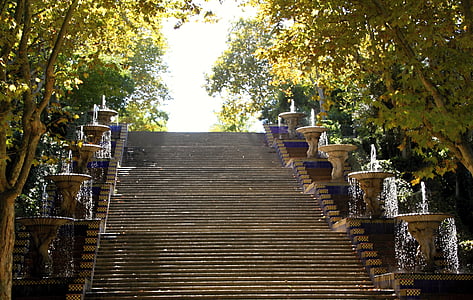 brown concrete stairs beside trees thumbnail