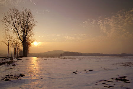 snow landscape thumbnail