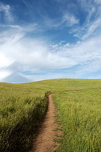 pathway between grass field under cirrus clouds thumbnail