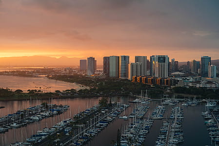 birds-eye view of yachts near city buildings thumbnail