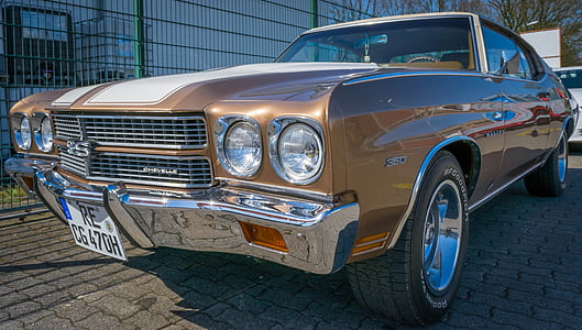 brown Chevrolet Chevelle SS coupe on road beside gray metal fence at daytime thumbnail