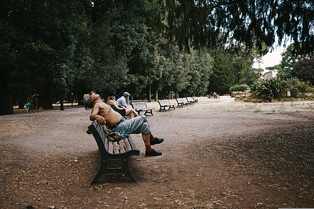 man sitting on brown bench surrounded by trees thumbnail
