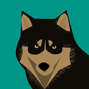 Husky dog illustration looking at camera. thumbnail