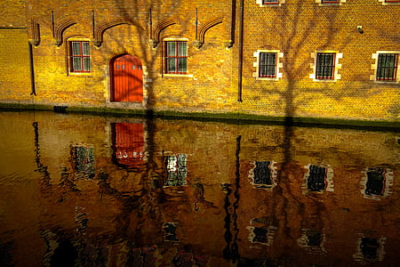 House Reflection thumbnail