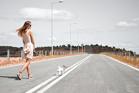 photo of woman wearing pink dress holding white dog leash thumbnail