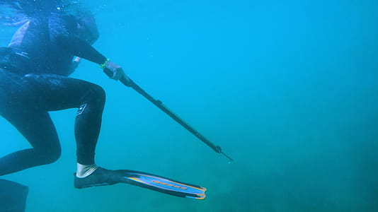 Diver Holding Speargun thumbnail