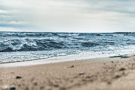 macrophotograph of beach shore thumbnail