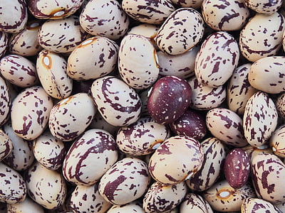 close up photography of nuts thumbnail