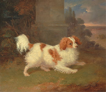 long-coated white and brown dog painting thumbnail