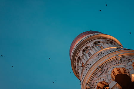 low angle view of tower under birds flying thumbnail