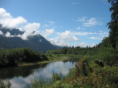 river surrounded by green leafed trees thumbnail