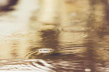 close-up photography of calm water thumbnail