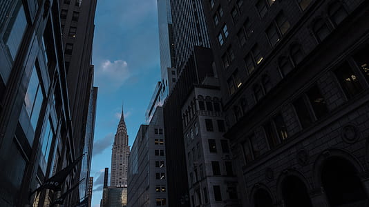 low angle photography of high-rise buildings at night thumbnail