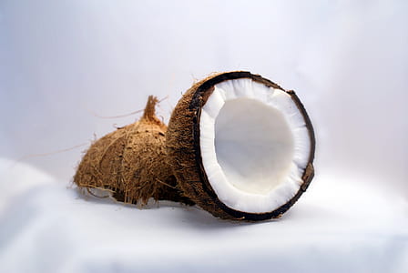 coconut on white background thumbnail
