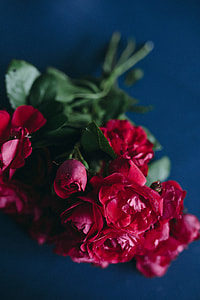 Lovely workplace with red roses thumbnail